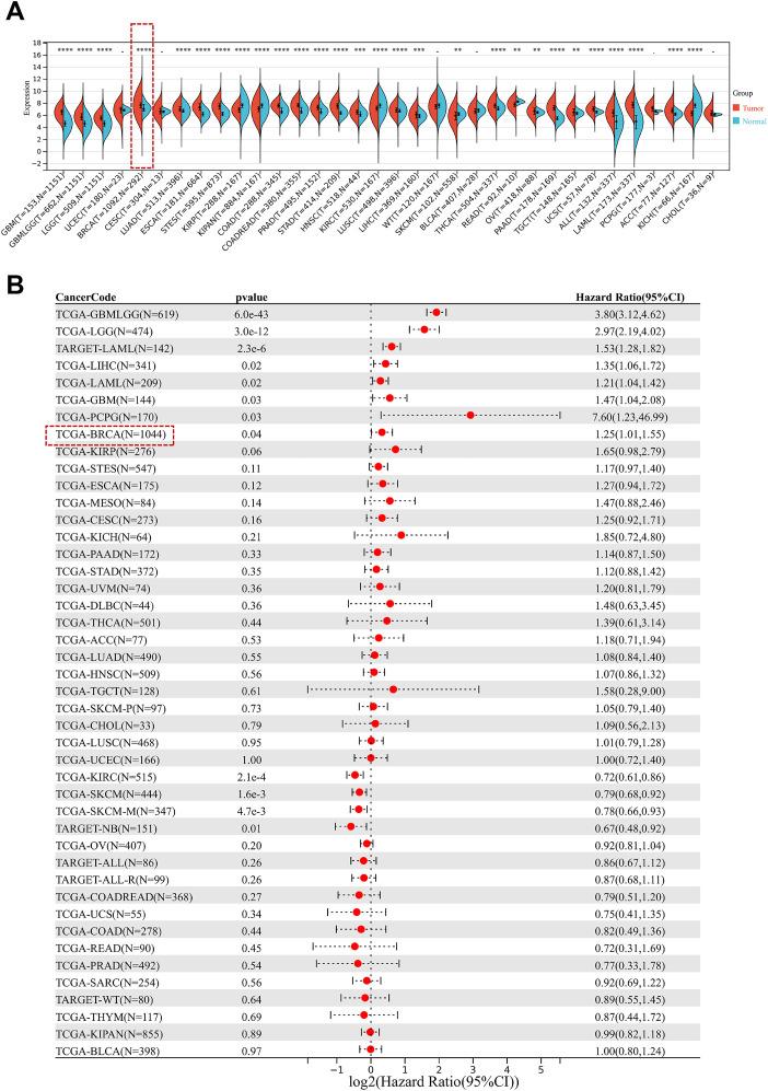 https://cdn.ncbi.nlm.nih.gov/pmc/blobs/d2c2/12277295/344491b1cf89/fimmu-16-1601547-g001.jpg