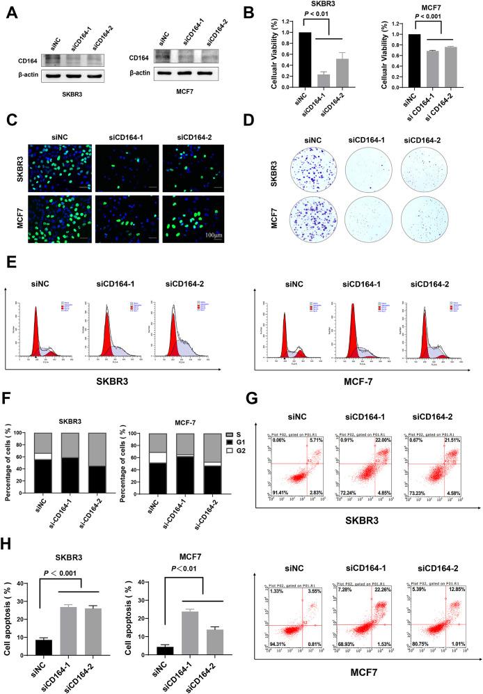 https://cdn.ncbi.nlm.nih.gov/pmc/blobs/d2c2/12277295/995b87842b39/fimmu-16-1601547-g005.jpg