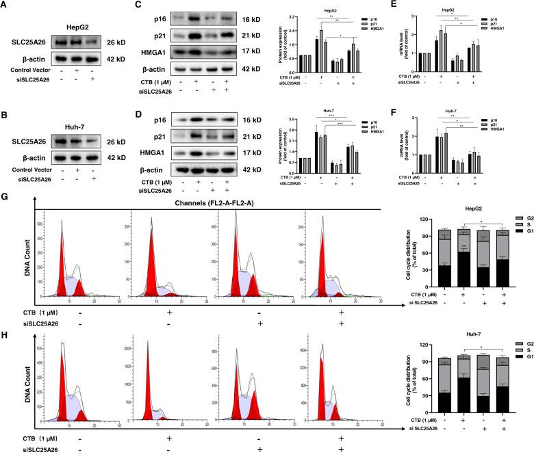https://cdn.ncbi.nlm.nih.gov/pmc/blobs/d2c4/7548283/4727c67ff79a/41419_2020_3048_Fig4_HTML.jpg