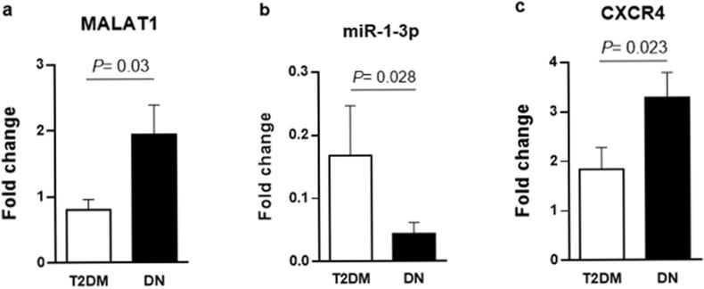 https://cdn.ncbi.nlm.nih.gov/pmc/blobs/d2c4/8969120/e1e1a39addfd/gr1.jpg