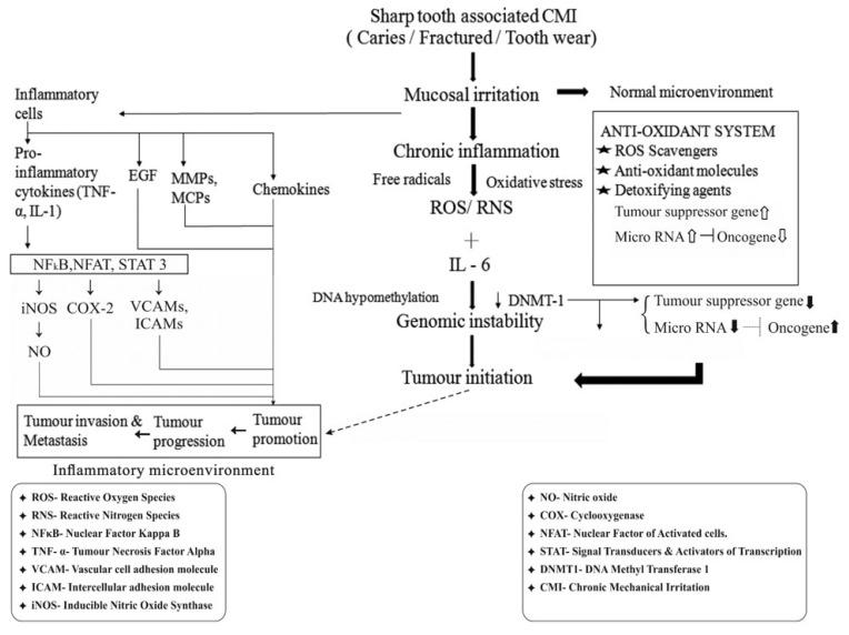 https://cdn.ncbi.nlm.nih.gov/pmc/blobs/d2c6/7880076/fd346e0d8a55/cm-94-88f2.jpg