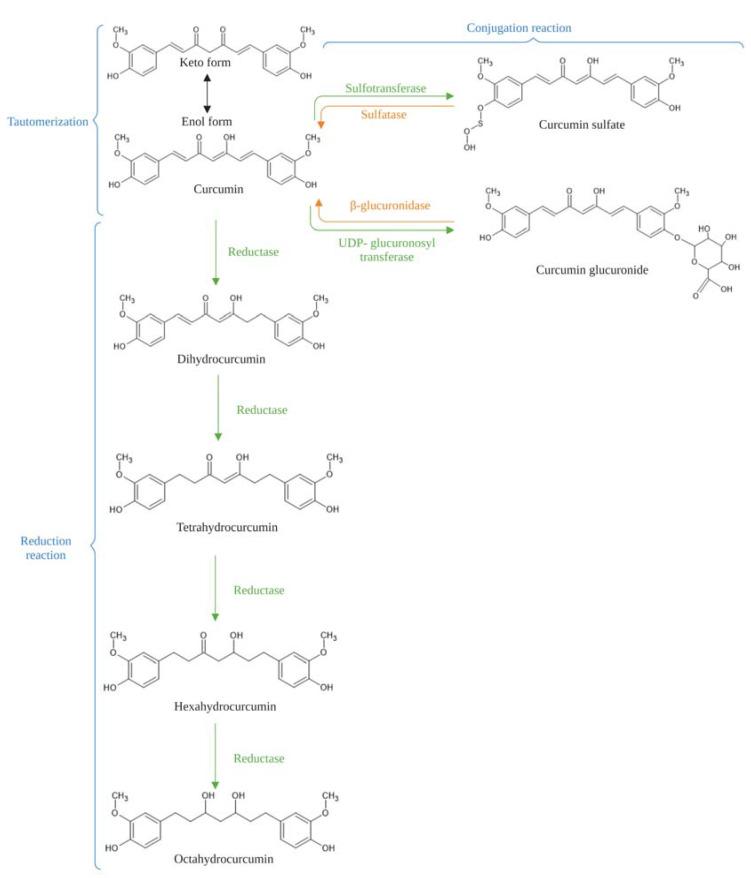 https://cdn.ncbi.nlm.nih.gov/pmc/blobs/d2c7/10531575/b3756ead7232/ijms-24-14366-g002.jpg