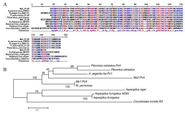 https://cdn.ncbi.nlm.nih.gov/pmc/blobs/d2c9/2782264/4b8cbd53cb88/1471-2180-9-158-7.jpg