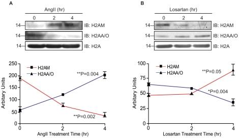 https://cdn.ncbi.nlm.nih.gov/pmc/blobs/d2c9/2933232/3cc3d8b8e711/pone.0012552.g005.jpg