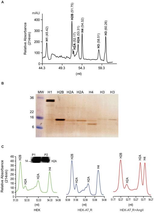 https://cdn.ncbi.nlm.nih.gov/pmc/blobs/d2c9/2933232/5011646a906a/pone.0012552.g002.jpg