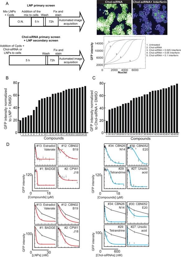https://cdn.ncbi.nlm.nih.gov/pmc/blobs/d2ca/4652771/eb51f9d02c47/gkv762fig2.jpg