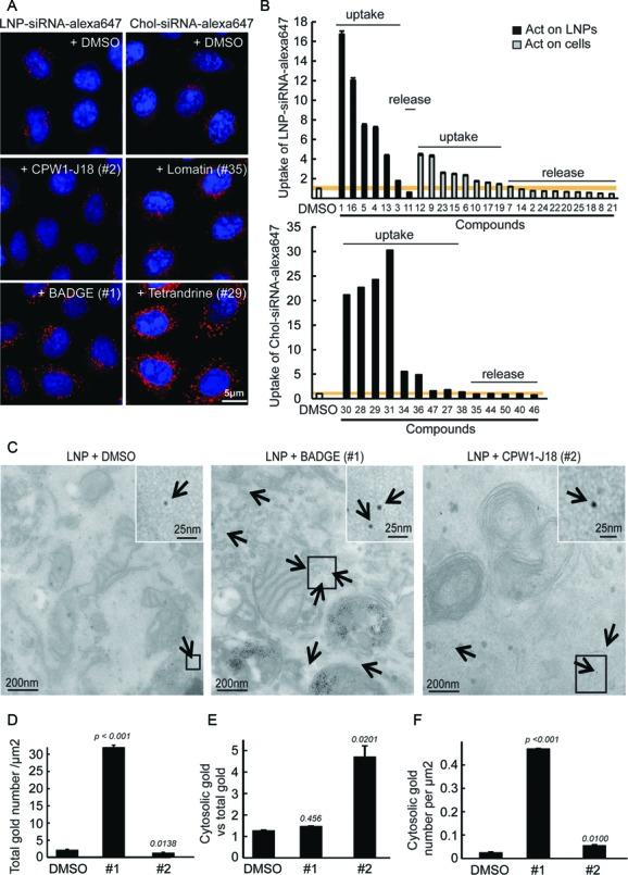 https://cdn.ncbi.nlm.nih.gov/pmc/blobs/d2ca/4652771/f60cb4ee565e/gkv762fig4.jpg