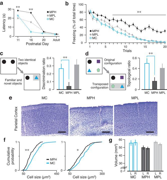 https://cdn.ncbi.nlm.nih.gov/pmc/blobs/d2cb/2615794/a0adf802d443/nihms-76032-f0004.jpg