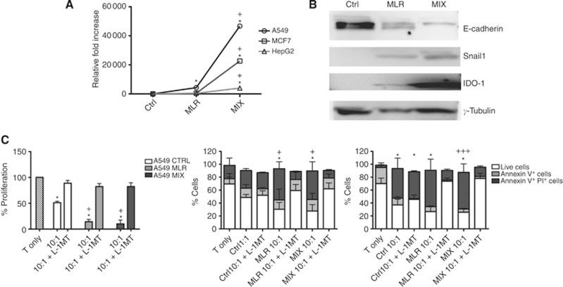 https://cdn.ncbi.nlm.nih.gov/pmc/blobs/d2d0/4366889/7112fd50d518/bjc201529f5.jpg