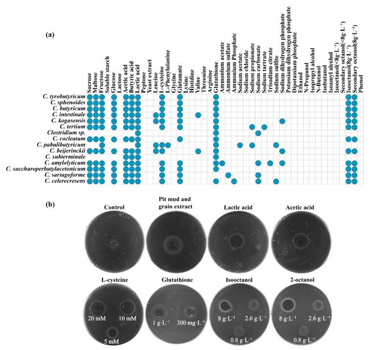 https://cdn.ncbi.nlm.nih.gov/pmc/blobs/d2d0/9689628/185c9842d04d/foods-11-03639-g003.jpg