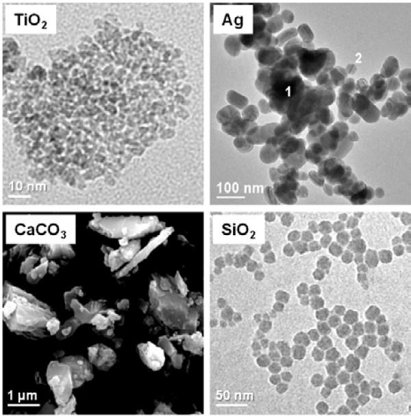 https://cdn.ncbi.nlm.nih.gov/pmc/blobs/d2d2/3546036/8b5497cae7bc/1743-8977-9-41-1.jpg