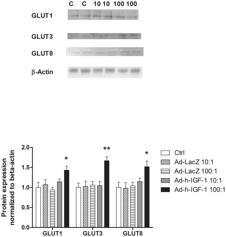 https://cdn.ncbi.nlm.nih.gov/pmc/blobs/d2d3/3760855/8754121634f9/pone.0074632.g005.jpg