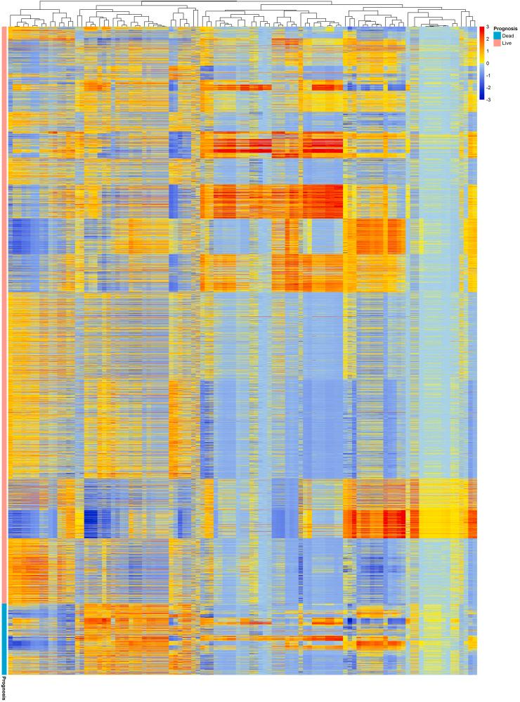 https://cdn.ncbi.nlm.nih.gov/pmc/blobs/d2d4/8964015/ba272ace0b34/gr5_lrg.jpg