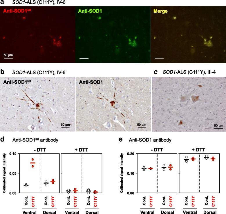https://cdn.ncbi.nlm.nih.gov/pmc/blobs/d2d5/5216565/358c1872404d/13024_2016_145_Fig7_HTML.jpg
