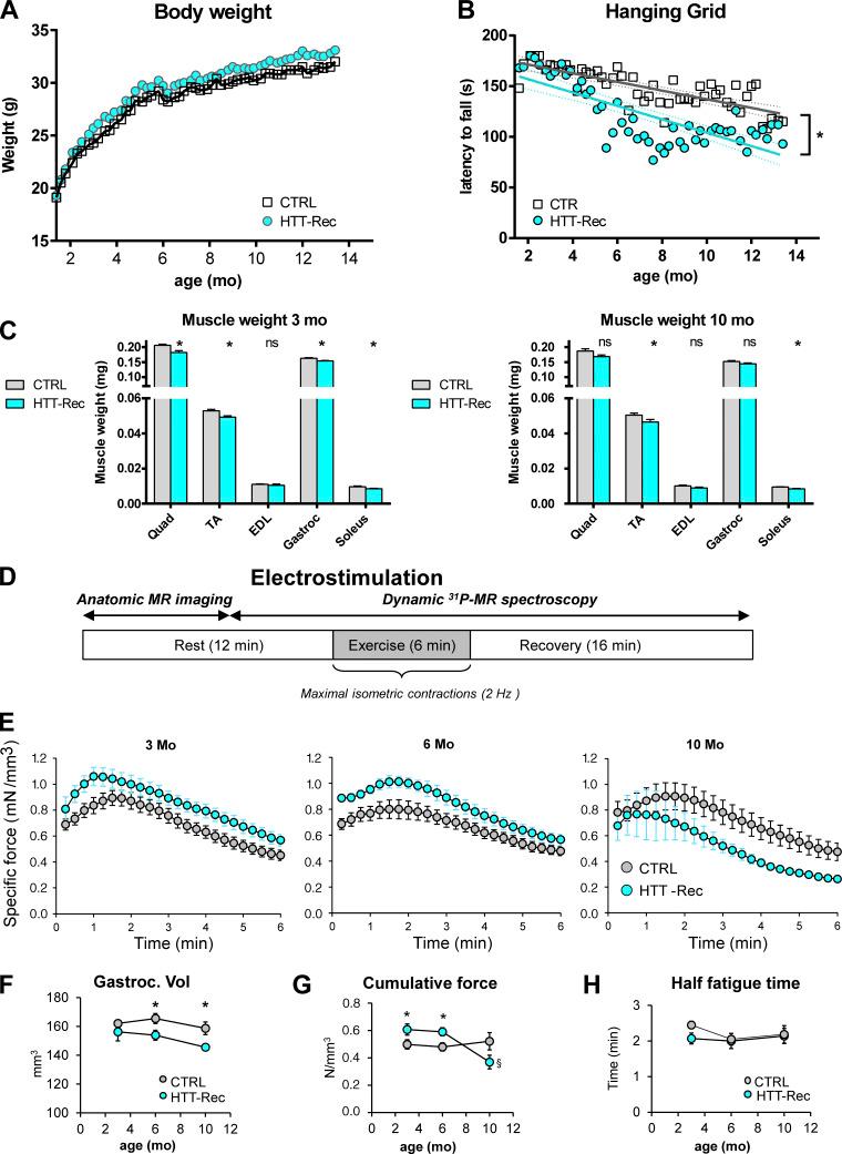 https://cdn.ncbi.nlm.nih.gov/pmc/blobs/d2d5/9682417/a705277737c0/JGP_202213103_Fig5.jpg