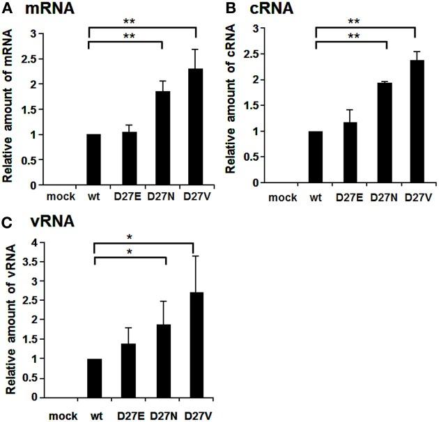 https://cdn.ncbi.nlm.nih.gov/pmc/blobs/d2d7/3866587/70589ad68a08/fmicb-04-00398-g0004.jpg