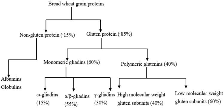 https://cdn.ncbi.nlm.nih.gov/pmc/blobs/d2d8/9601813/7857be8335a1/foods-11-03287-g002.jpg