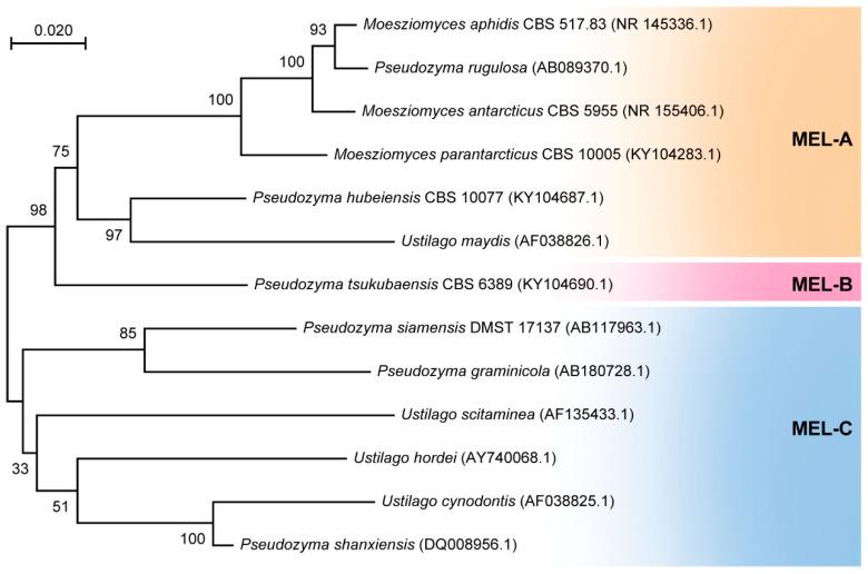 https://cdn.ncbi.nlm.nih.gov/pmc/blobs/d2d9/11117751/92ccf8d76253/biomolecules-14-00557-g003.jpg