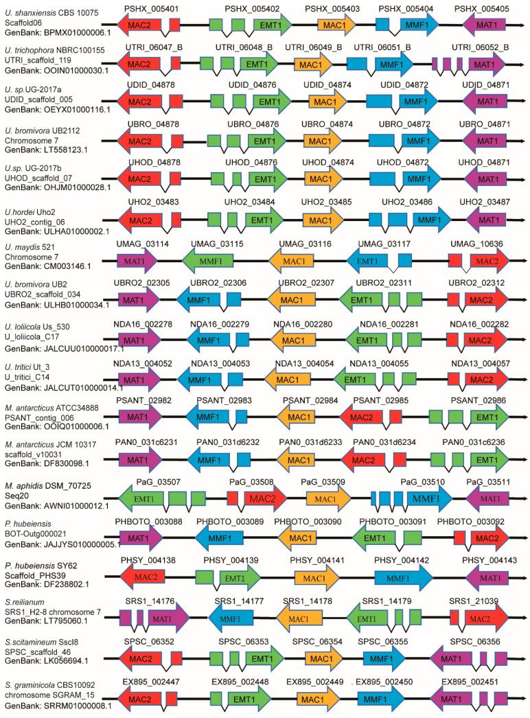 https://cdn.ncbi.nlm.nih.gov/pmc/blobs/d2d9/11117751/a0956b2e0987/biomolecules-14-00557-g005.jpg