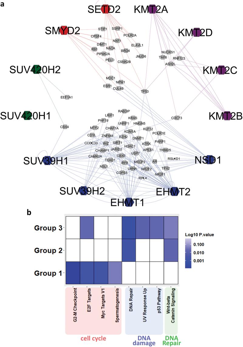 https://cdn.ncbi.nlm.nih.gov/pmc/blobs/d2d9/11703355/fa24336d7f3b/IEPI_A_2435244_F0003_OC.jpg