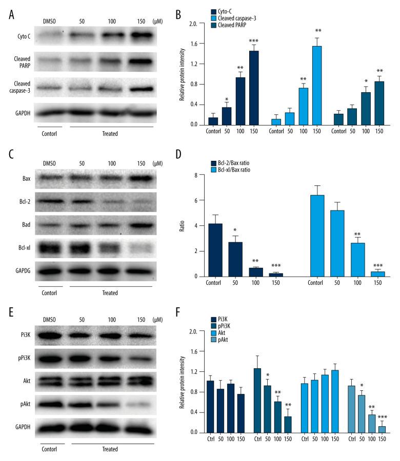 https://cdn.ncbi.nlm.nih.gov/pmc/blobs/d2dc/7784594/55176f448db5/medscimonit-26-e928403-g003.jpg