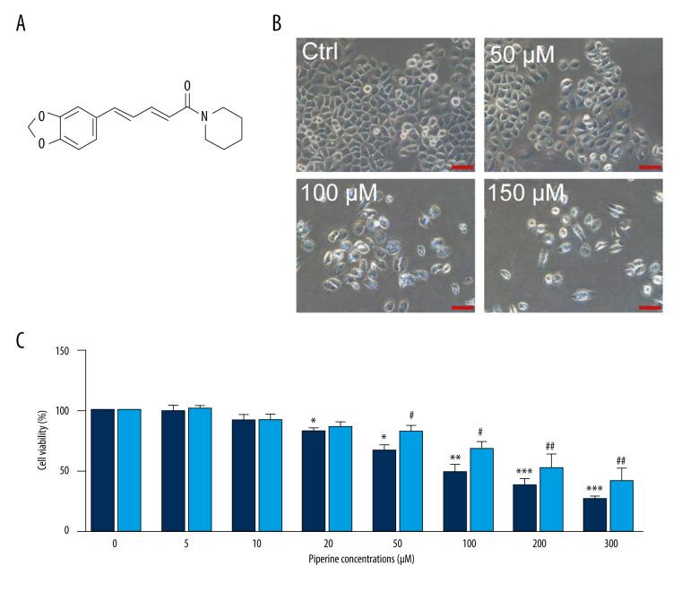 https://cdn.ncbi.nlm.nih.gov/pmc/blobs/d2dc/7784594/fa08f67545ae/medscimonit-26-e928403-g001.jpg