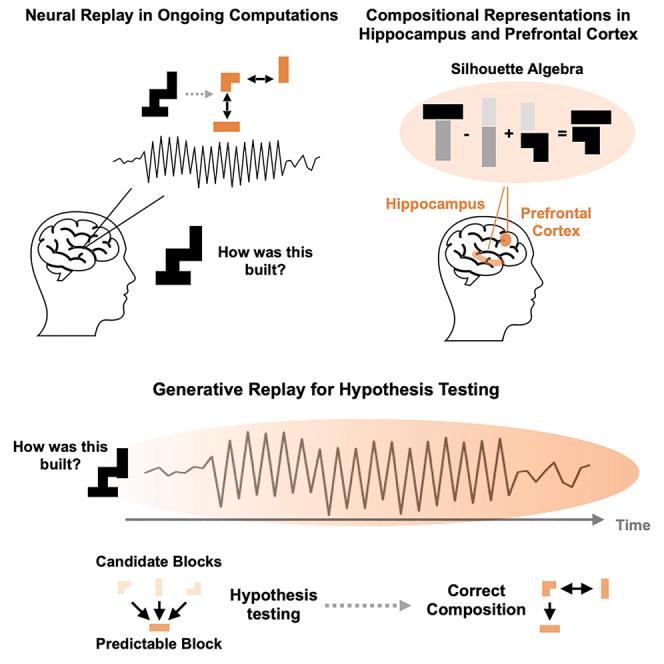 https://cdn.ncbi.nlm.nih.gov/pmc/blobs/d2df/10914680/e75f391678af/fx1.jpg