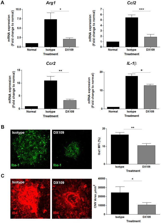 https://cdn.ncbi.nlm.nih.gov/pmc/blobs/d2e2/3812658/03abced8e741/srep03072-f5.jpg