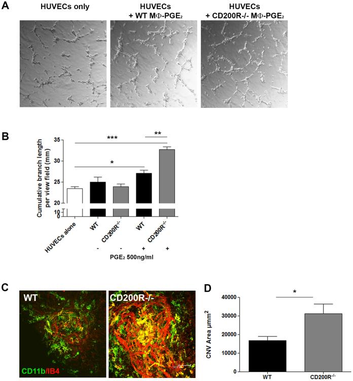 https://cdn.ncbi.nlm.nih.gov/pmc/blobs/d2e2/3812658/4f0495c3a0e7/srep03072-f3.jpg