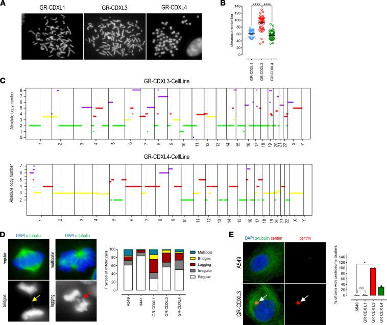 https://cdn.ncbi.nlm.nih.gov/pmc/blobs/d2e5/9220846/4218120de620/jciinsight-7-155804-g141.jpg