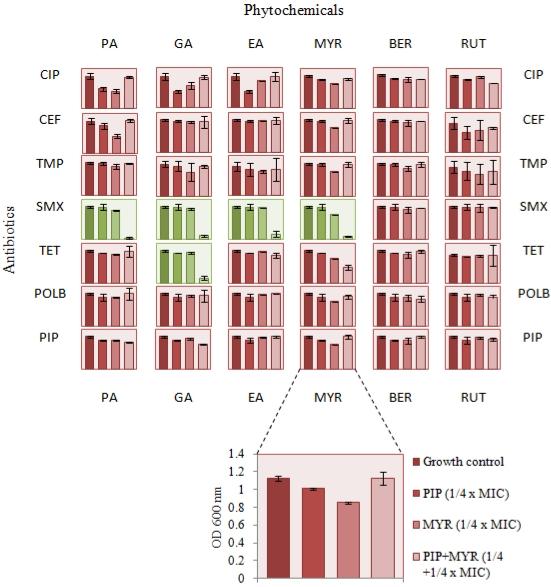 https://cdn.ncbi.nlm.nih.gov/pmc/blobs/d2e6/2952406/2b3121a3195a/ijbsv06p0556g03.jpg