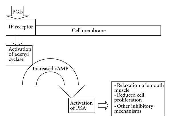 https://cdn.ncbi.nlm.nih.gov/pmc/blobs/d2e6/3407649/e39d072c9a69/MI2012-926968.001.jpg
