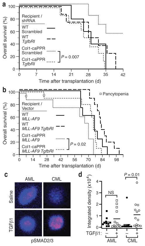 https://cdn.ncbi.nlm.nih.gov/pmc/blobs/d2e6/3827980/5bcf99795ed6/nihms520277f3.jpg
