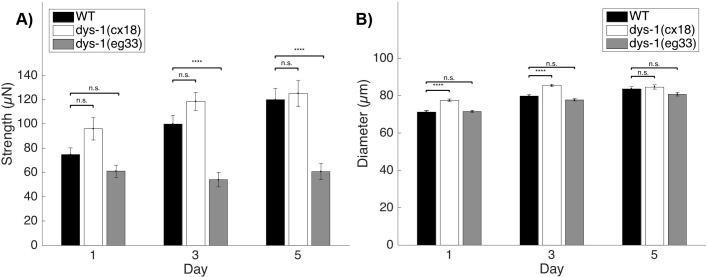https://cdn.ncbi.nlm.nih.gov/pmc/blobs/d2e6/6307913/c6d34aaac905/dmm-11-036137-g1.jpg