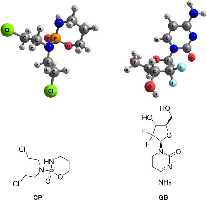 https://cdn.ncbi.nlm.nih.gov/pmc/blobs/d2e7/11993643/4f0bdd5431cc/41598_2025_91719_Fig1_HTML.jpg
