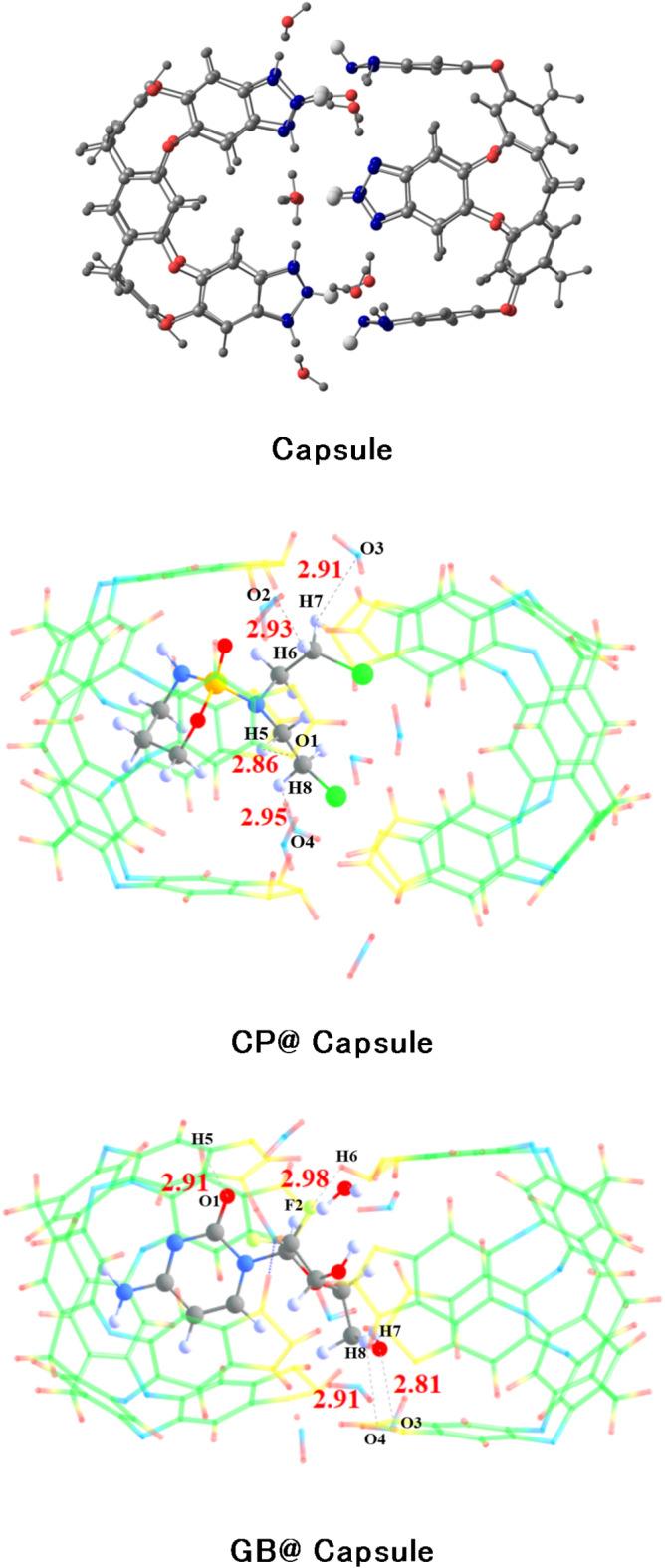 https://cdn.ncbi.nlm.nih.gov/pmc/blobs/d2e7/11993643/a8d001cbf3d1/41598_2025_91719_Fig7_HTML.jpg
