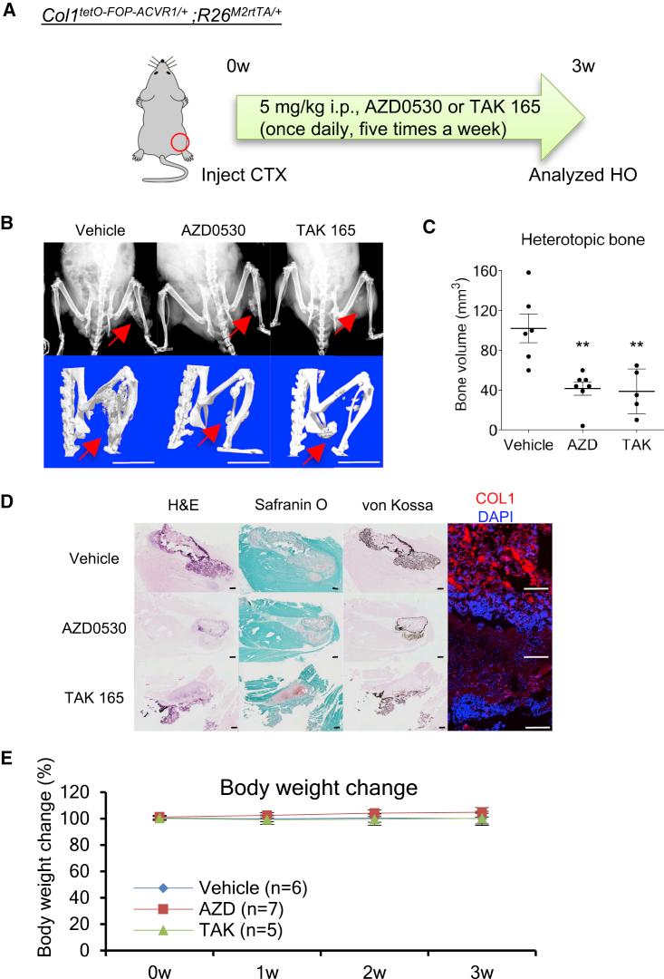 https://cdn.ncbi.nlm.nih.gov/pmc/blobs/d2e7/6235670/f683c9d30c5a/gr5.jpg