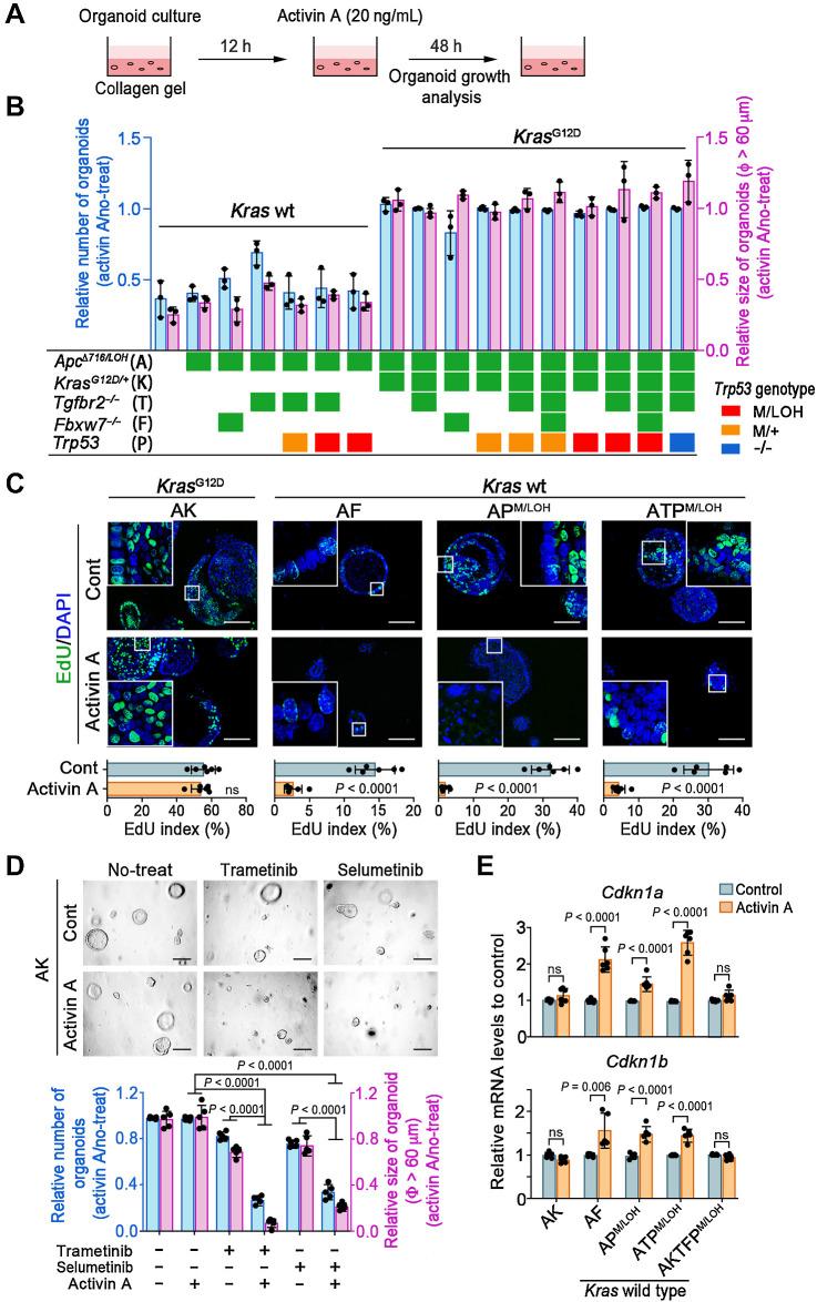 https://cdn.ncbi.nlm.nih.gov/pmc/blobs/d2ea/10758690/03800e43d6a4/56fig1.jpg