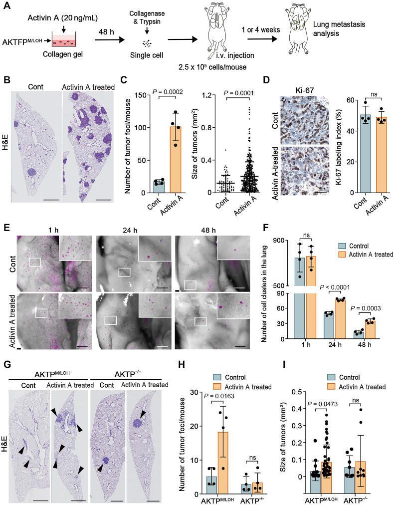 https://cdn.ncbi.nlm.nih.gov/pmc/blobs/d2ea/10758690/83ca9f5e0a3b/56fig4.jpg