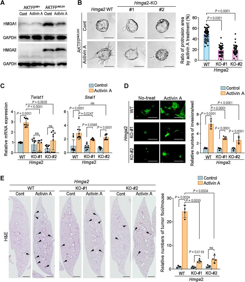 https://cdn.ncbi.nlm.nih.gov/pmc/blobs/d2ea/10758690/ba088f1fa16f/56fig6.jpg