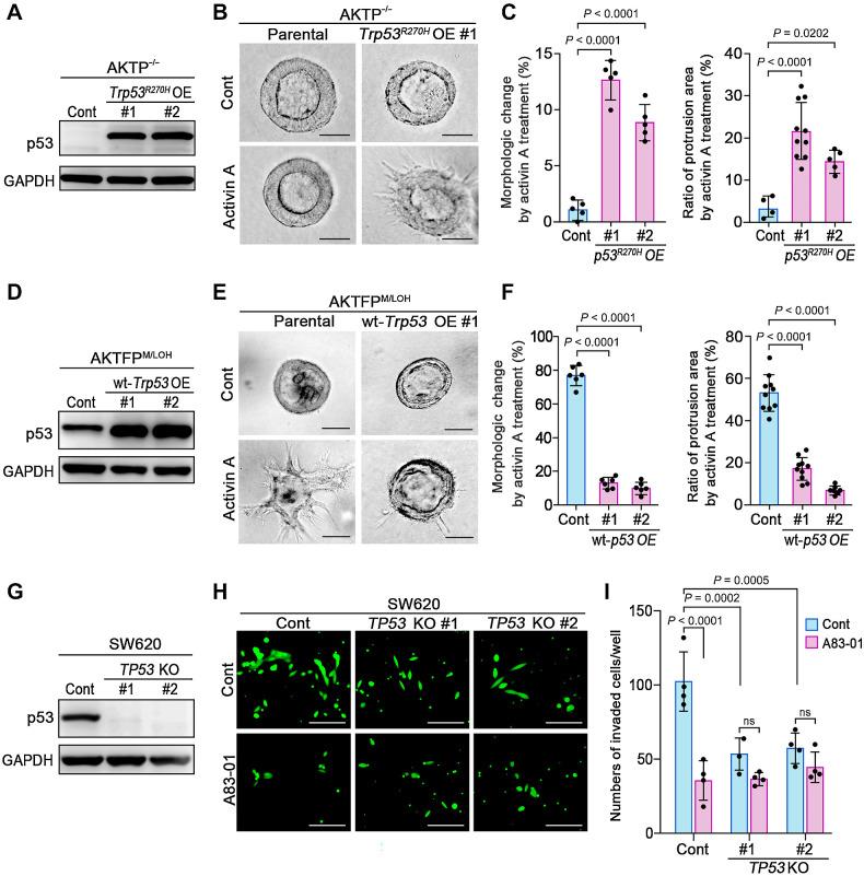 https://cdn.ncbi.nlm.nih.gov/pmc/blobs/d2ea/10758690/ba0e99c09e26/56fig3.jpg