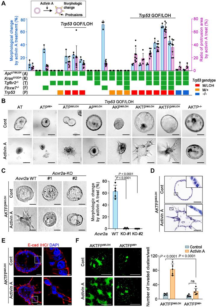 https://cdn.ncbi.nlm.nih.gov/pmc/blobs/d2ea/10758690/f26fc4cf927a/56fig2.jpg