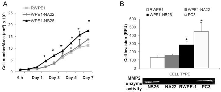 https://cdn.ncbi.nlm.nih.gov/pmc/blobs/d2ea/3759210/7d501d8844ba/cancers-03-03557f3a.jpg