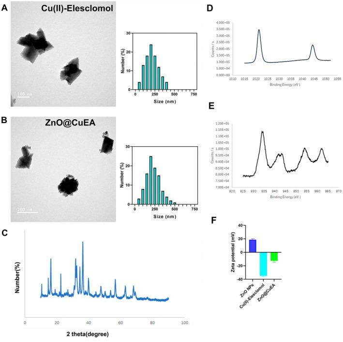 https://cdn.ncbi.nlm.nih.gov/pmc/blobs/d2eb/12128471/1b68e0fd20db/JCMM-29-e70636-g007.jpg
