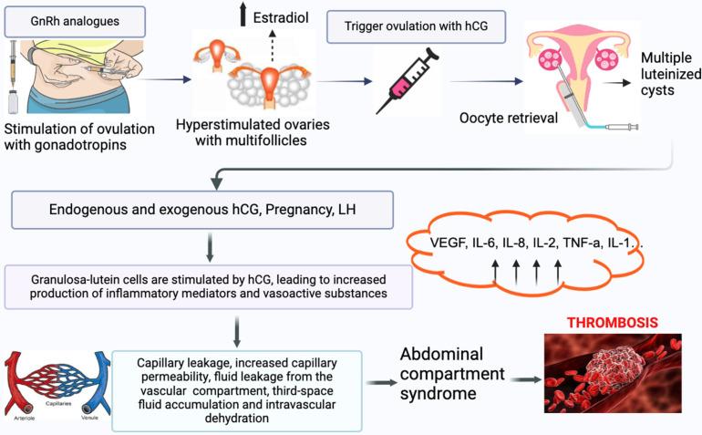 https://cdn.ncbi.nlm.nih.gov/pmc/blobs/d2ec/11856335/a1e320d75f86/jcm-14-01053-g001.jpg