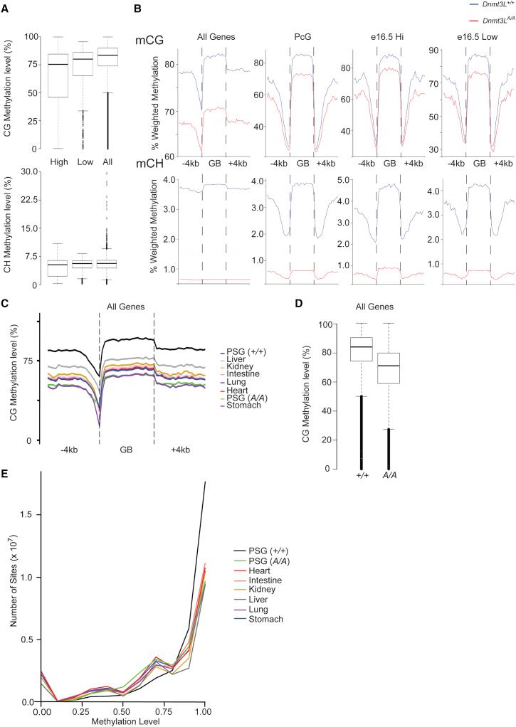 https://cdn.ncbi.nlm.nih.gov/pmc/blobs/d2ec/4542314/b7898909b7ab/gr2.jpg