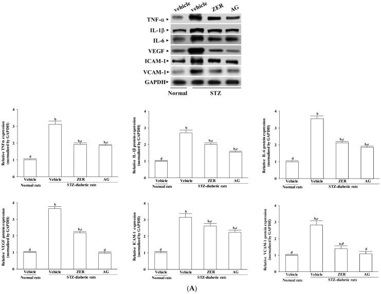 https://cdn.ncbi.nlm.nih.gov/pmc/blobs/d2ec/4997364/aae901d2ee60/nutrients-08-00449-g003a.jpg