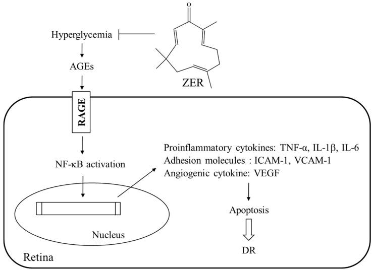 https://cdn.ncbi.nlm.nih.gov/pmc/blobs/d2ec/4997364/f18c8fae4098/nutrients-08-00449-g005.jpg