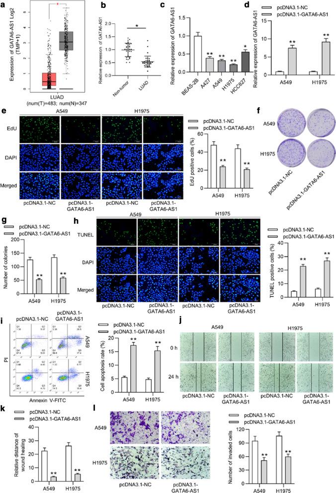 https://cdn.ncbi.nlm.nih.gov/pmc/blobs/d2ec/8126172/bc7a8f99ce55/12890_2021_1521_Fig1_HTML.jpg