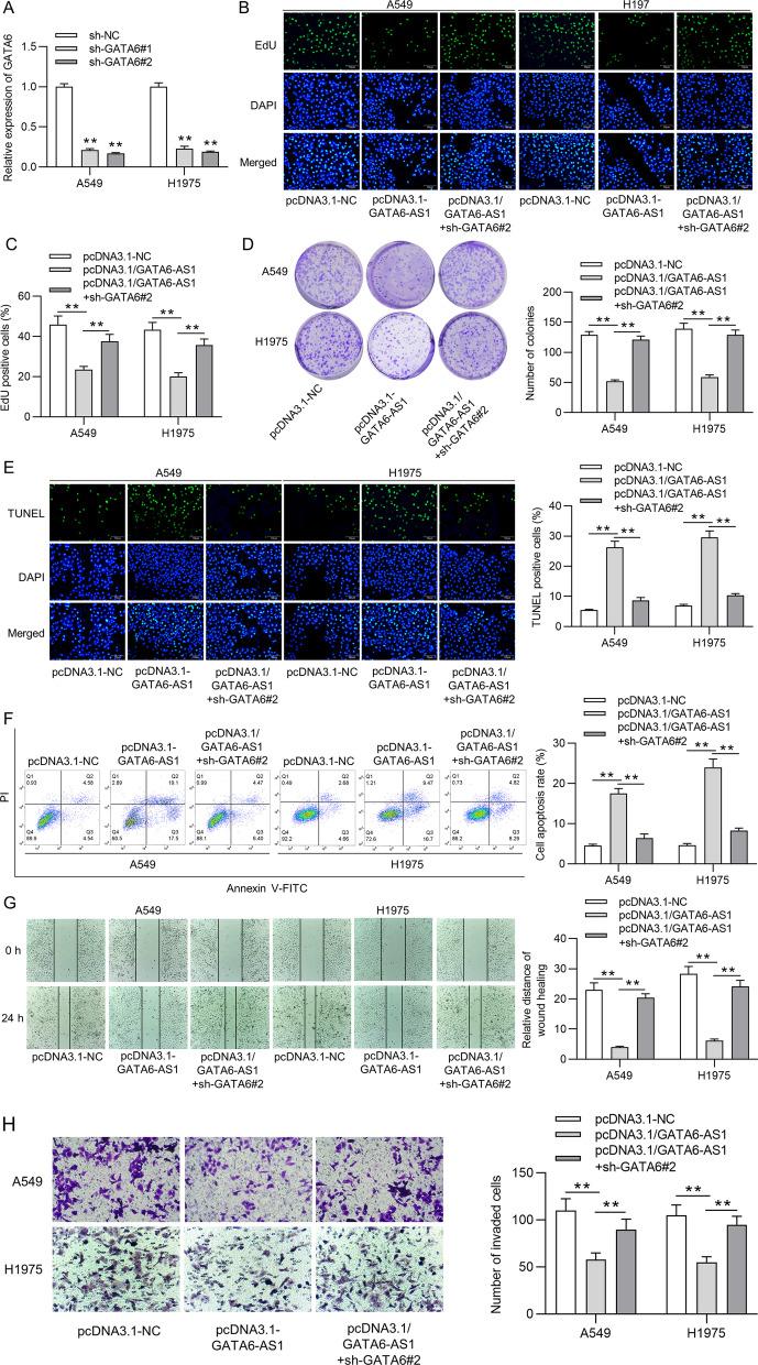 https://cdn.ncbi.nlm.nih.gov/pmc/blobs/d2ec/8126172/c3fd7d233de9/12890_2021_1521_Fig4_HTML.jpg